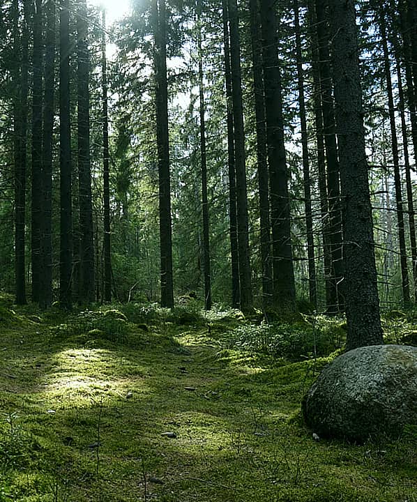 運(yùn)動(dòng)木地板供應(yīng)基地