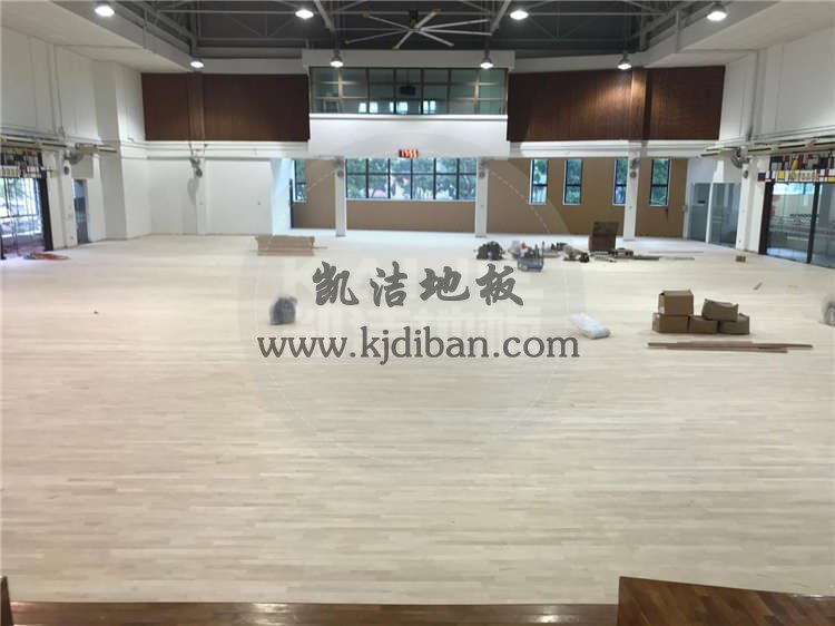 新加坡體育館運(yùn)動(dòng)木地板項(xiàng)目案例