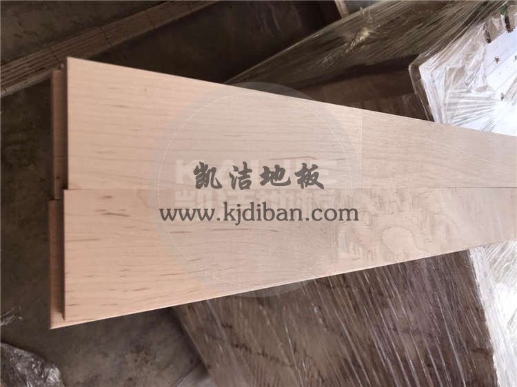 新加坡體育館運(yùn)動(dòng)木地板項(xiàng)目案例