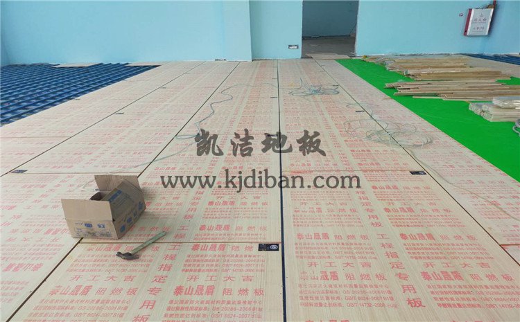 佛山南海區(qū)綠電能源有限公司體育館木地板項(xiàng)目